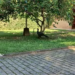 Casa Barra Seca